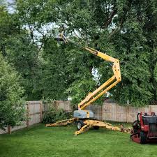 Best Fruit Tree Pruning  in Walnut Grove, GA