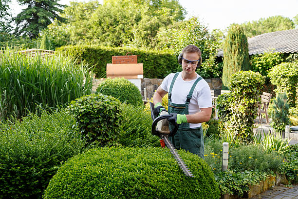 Best Grass Overseeding  in Walnut Grove, GA